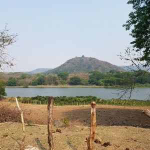 Meet your Posher, Ivan